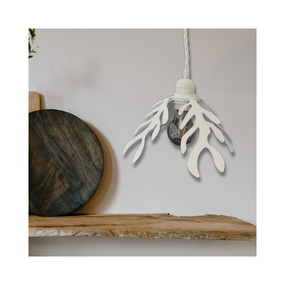 suspension algues blanc cassé suspension algues blanc cassé